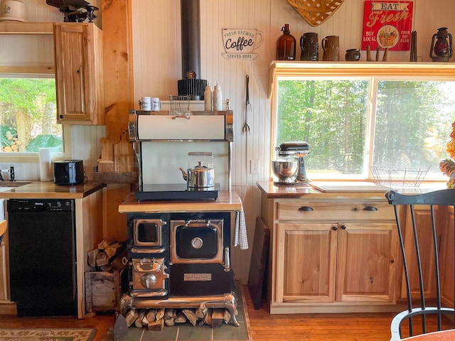 kitchen with light hardwood / wood-style floors and dishwasher