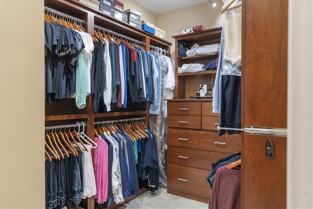 view of walk in closet