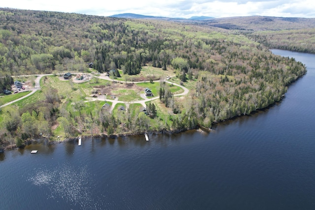 drone / aerial view with a water and mountain view