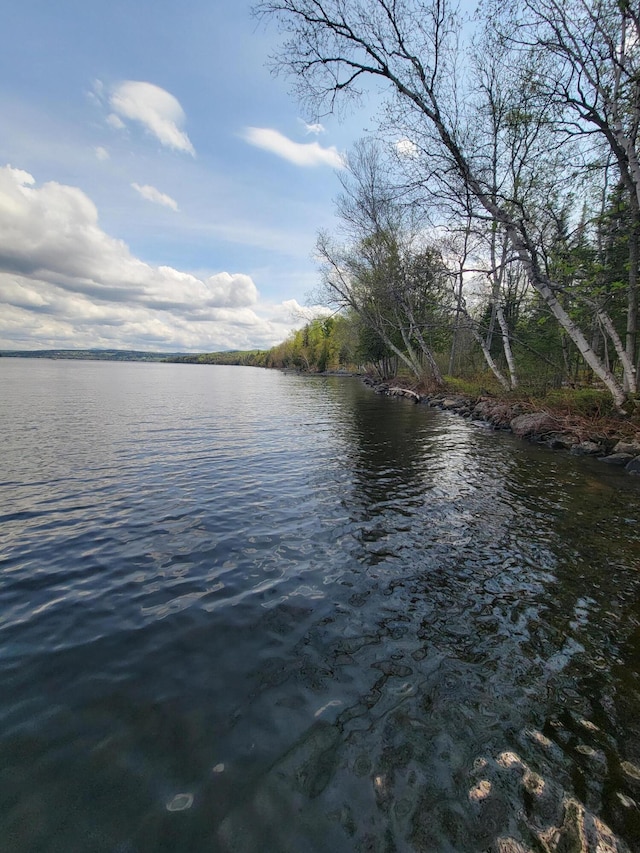 property view of water