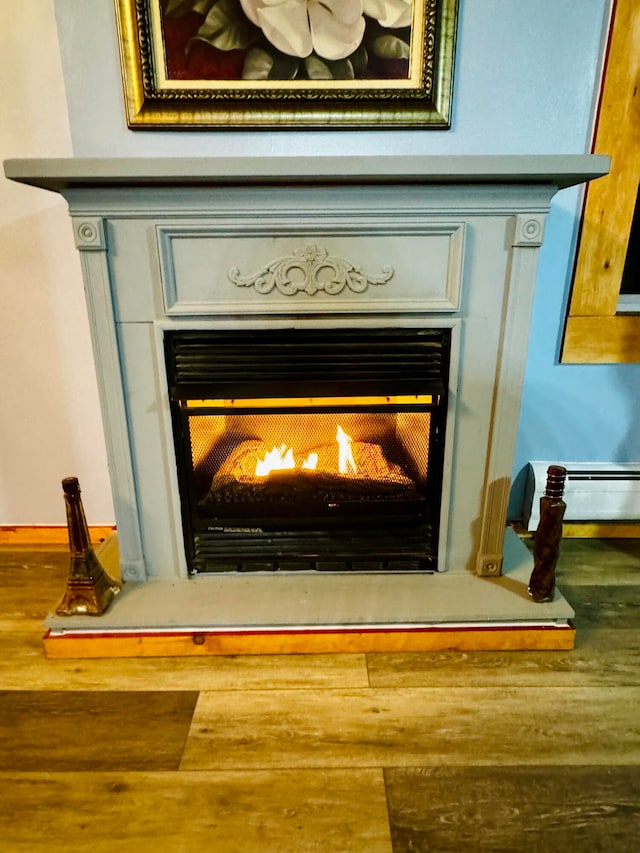 details with a glass covered fireplace, a baseboard radiator, and wood finished floors