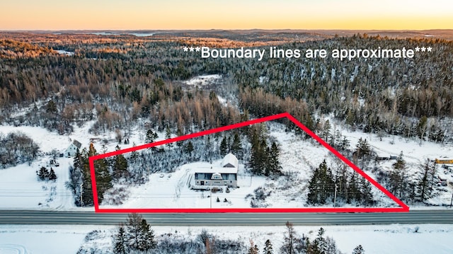 snowy aerial view with a mountain view and a wooded view