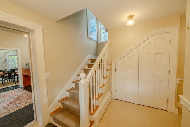 stairway featuring carpet flooring