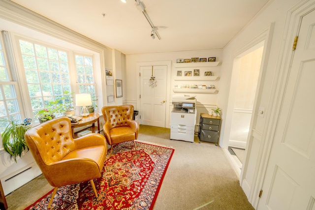 sitting room featuring crown molding, rail lighting, and light colored carpet