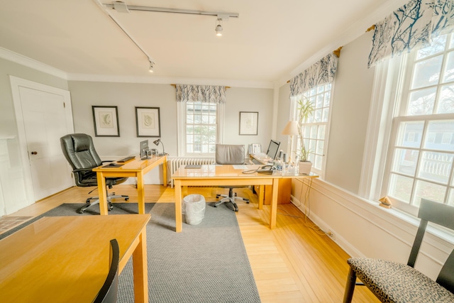 office area featuring crown molding, wood-type flooring, rail lighting, and radiator