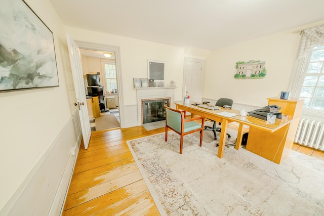 office space featuring radiator heating unit and light hardwood / wood-style floors