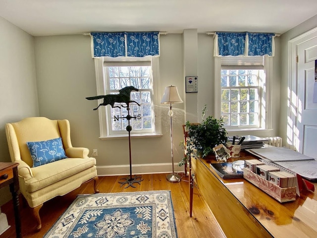 sitting room featuring hardwood / wood-style floors