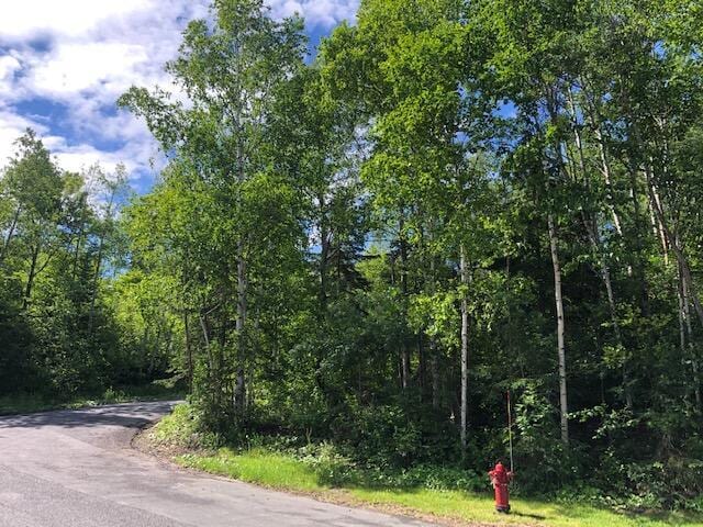 LOT94 Winter St, Madawaska ME, 04756 land for sale