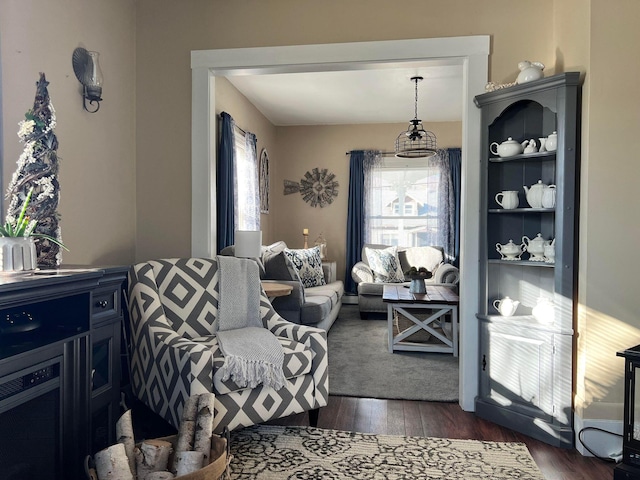 living area featuring dark wood-type flooring