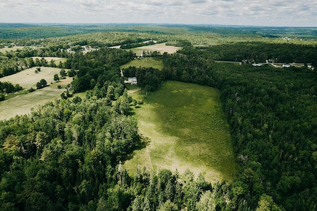 bird's eye view