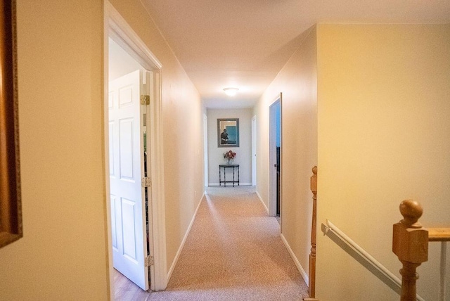 corridor with light colored carpet