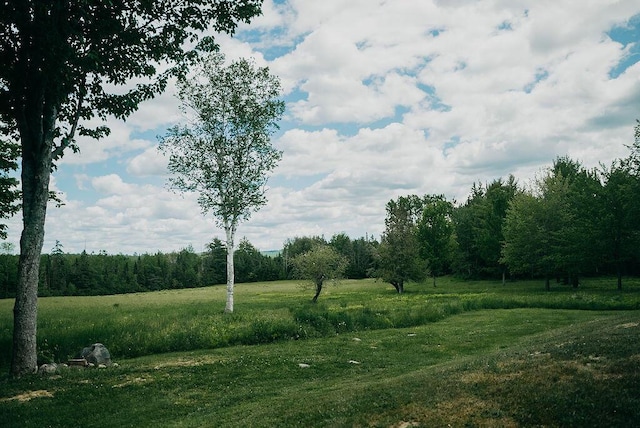 view of yard with a rural view