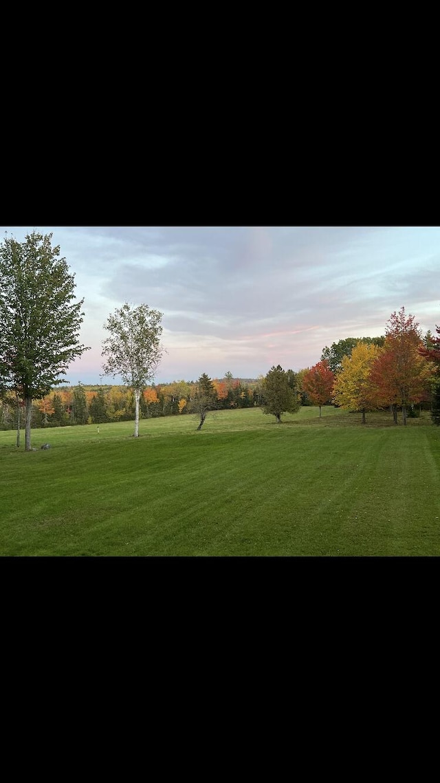 view of yard at dusk