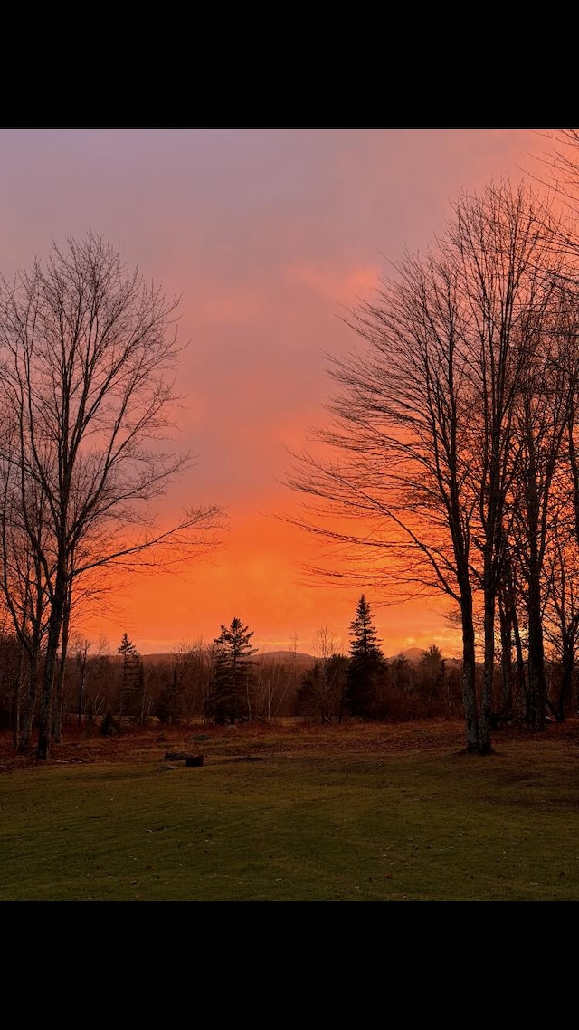 view of yard at dusk