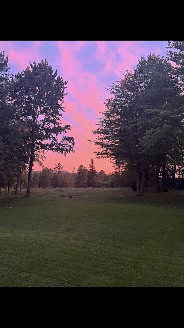 view of yard at dusk