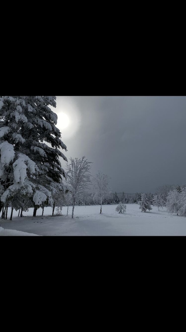 view of yard layered in snow