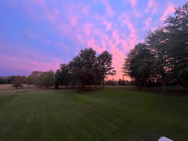 view of yard at dusk