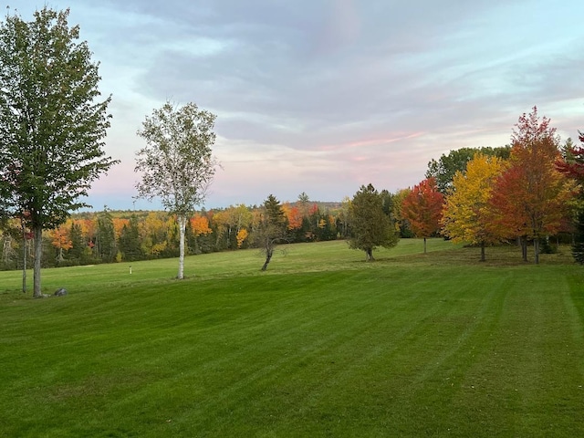 view of home's community featuring a yard