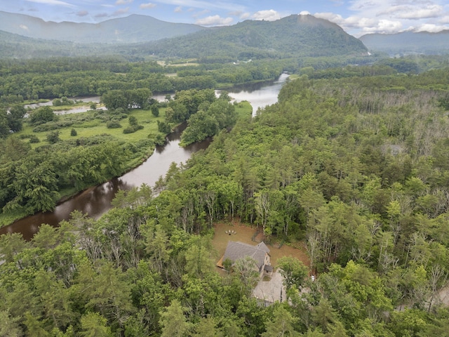 birds eye view of property featuring a water and mountain view