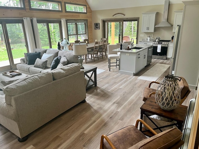 living area with light wood finished floors and lofted ceiling