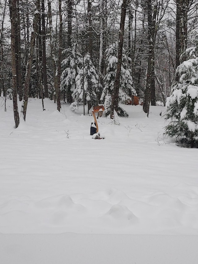 view of yard layered in snow