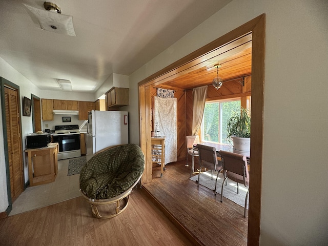 kitchen with decorative light fixtures, wood-type flooring, and white appliances