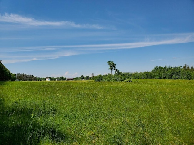 view of local wilderness featuring a rural view