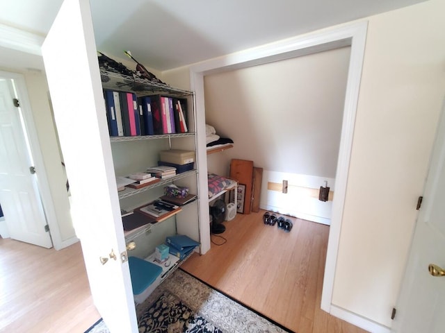 spacious closet featuring light hardwood / wood-style flooring