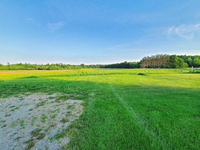 view of yard with a rural view