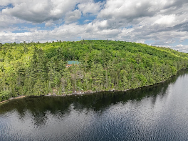 41 Thomas Rd, Monson, ME 04464 - photo 4