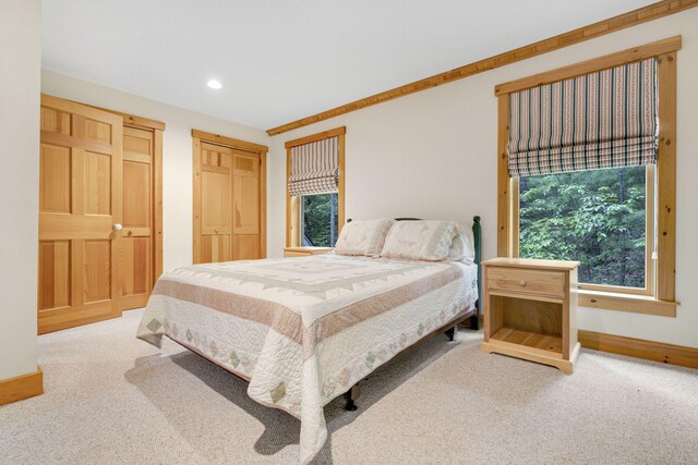 bedroom with carpet floors and multiple windows