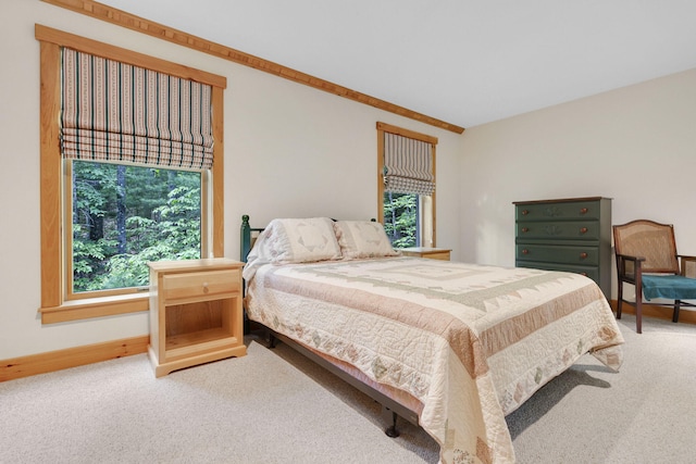 carpeted bedroom with multiple windows