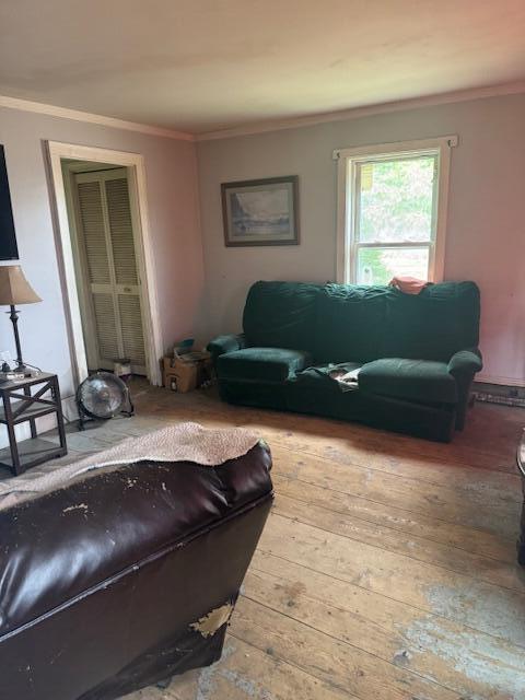 living room featuring light wood-type flooring and crown molding