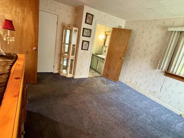 unfurnished room featuring carpet flooring