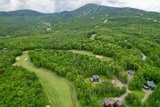 6011 Bunnys Ln, Carrabassett Valley ME, 04947 land for sale