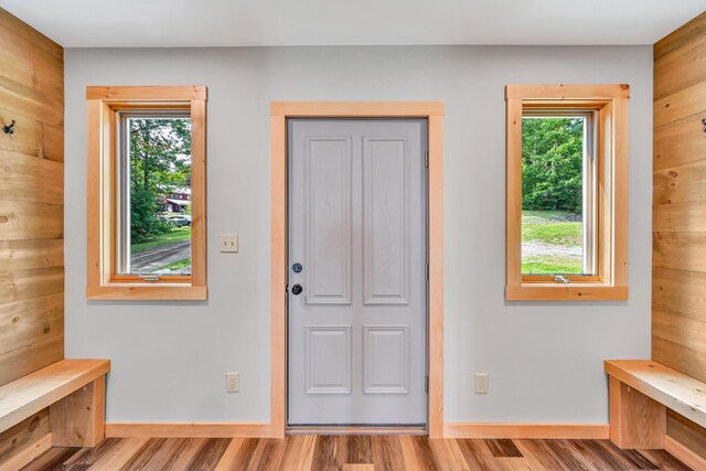 interior space featuring wood walls, a healthy amount of sunlight, and hardwood / wood-style flooring