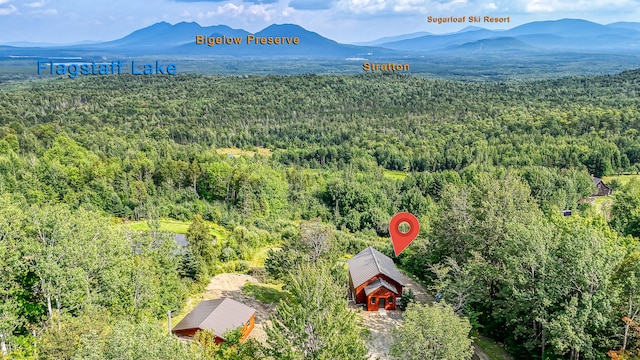 birds eye view of property featuring a mountain view