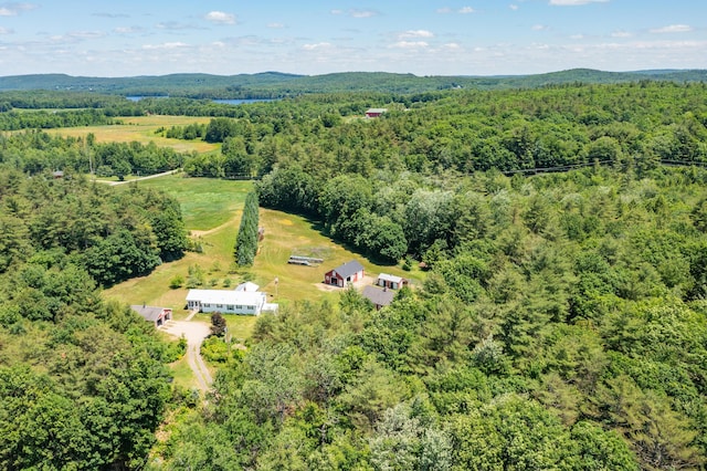 drone / aerial view featuring a mountain view