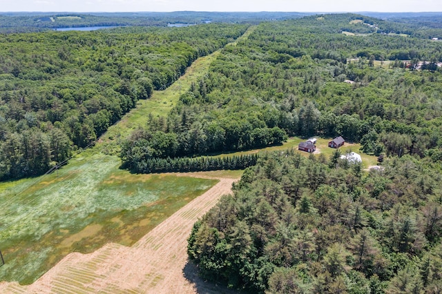 drone / aerial view featuring a rural view