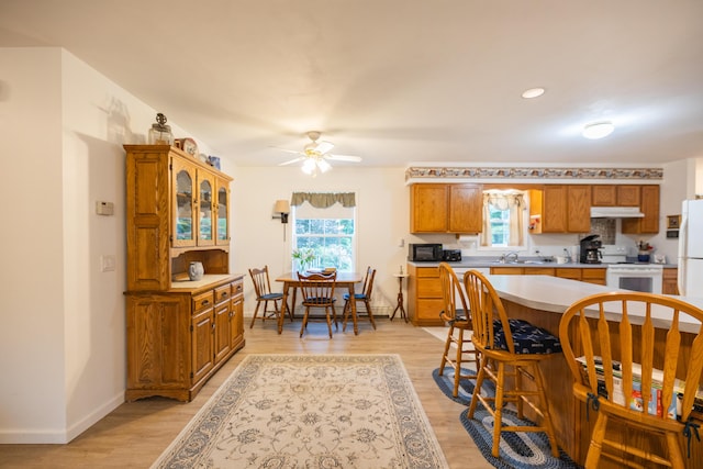 dining room with ceiling fan, light hardwood / wood-style floors, and a wealth of natural light