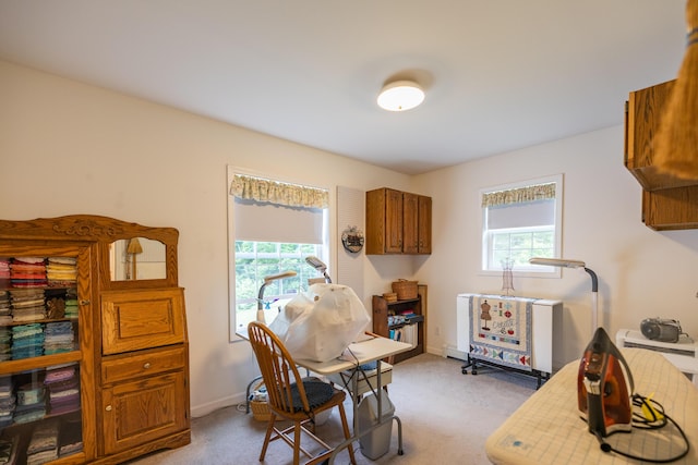 carpeted dining area featuring a wealth of natural light