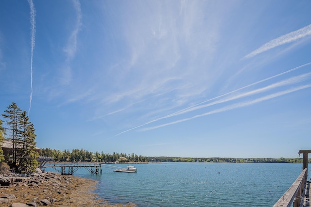 property view of water