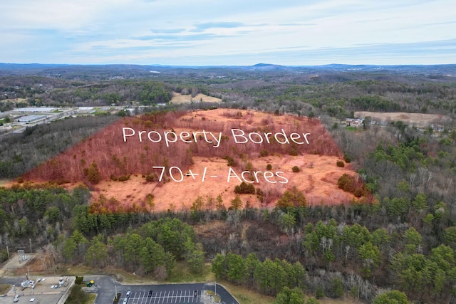 55 Old Lisbon Rd, Lewiston, ME 04240 - photo 8