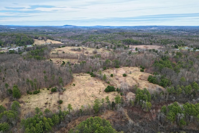 55 Old Lisbon Rd, Lewiston, ME 04240 - photo 9