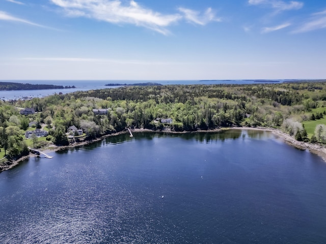 aerial view featuring a view of trees and a water view
