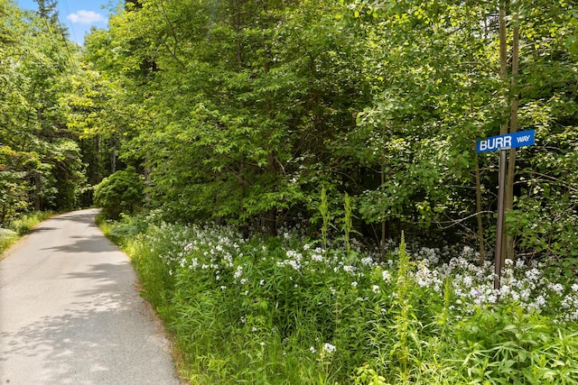 view of road featuring a wooded view