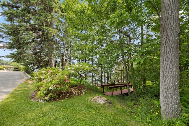 view of community featuring a yard