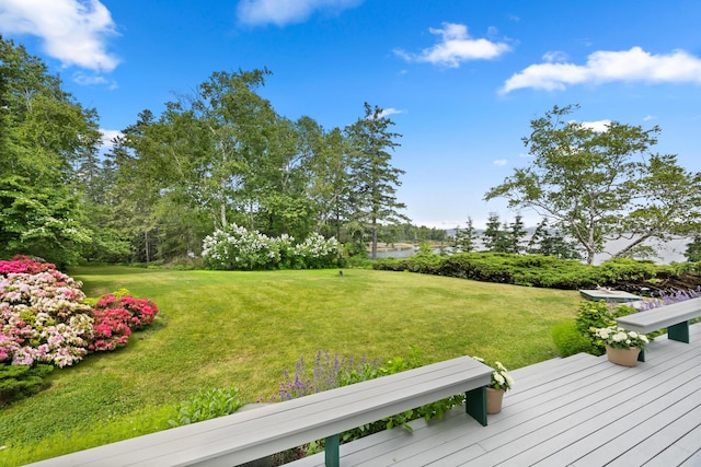 view of yard featuring a water view