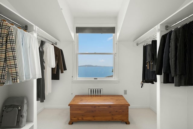 spacious closet featuring carpet