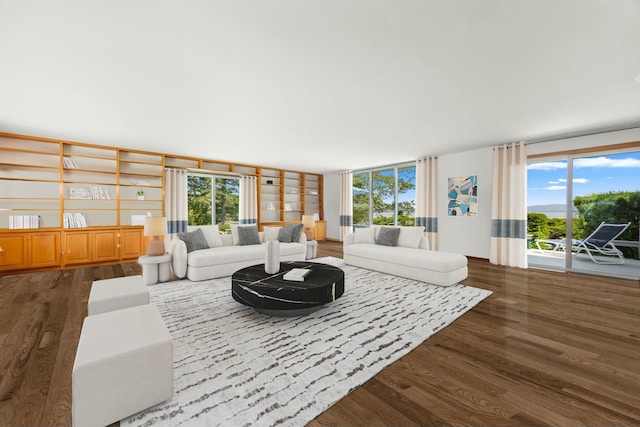 living room with dark wood finished floors